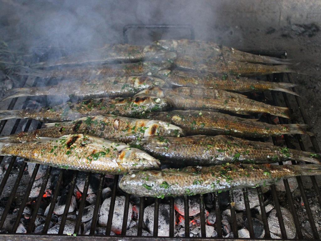 Fluctus Brodarica (Sibenik-Knin)